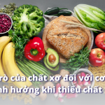 chất xơ